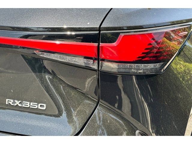 2025 Lexus RX 350 - Photo 13