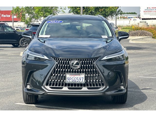 2025 LEXUS NX 450h+ Luxury photo 4