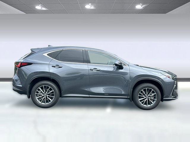 2025 LEXUS NX 350h Premium photo 6