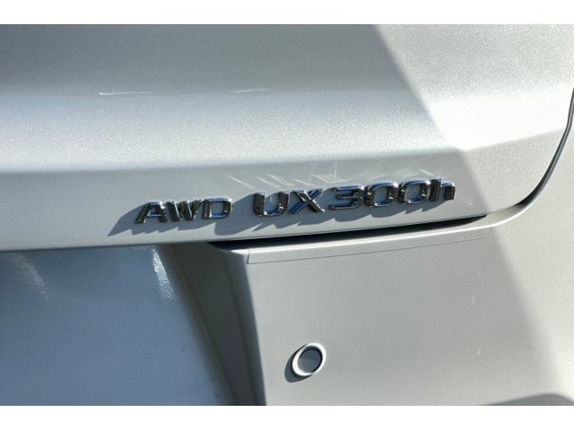 2025 Lexus UX 300h Premium - Photo 18