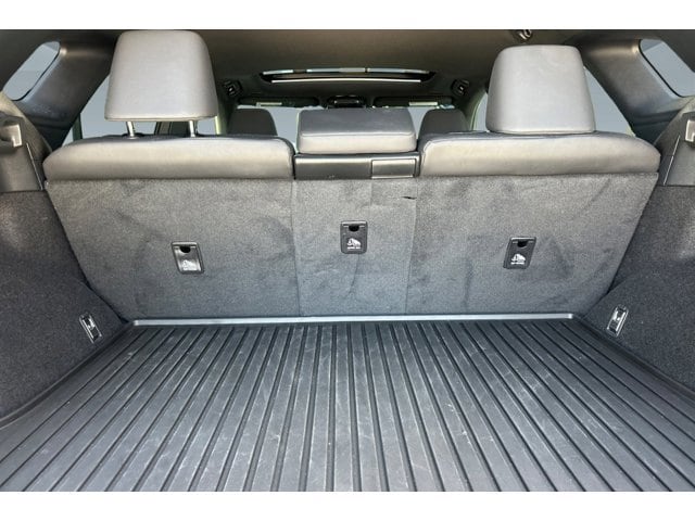 2025 Lexus RX 350 - Photo 32