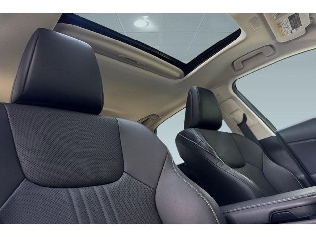 2024 Lexus NX 350 - Photo 16