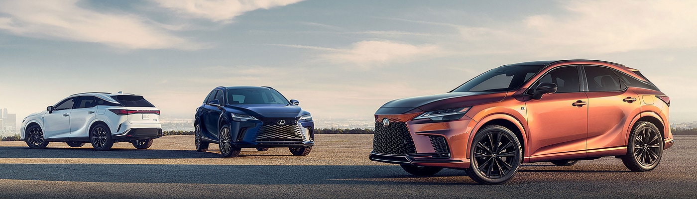 2024 Lexus RX lineup parked in a lot overlooking a city