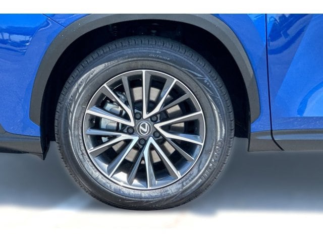 2024 Lexus NX 350 - Photo 12