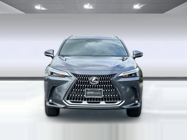 2025 LEXUS NX 350h Premium photo 4