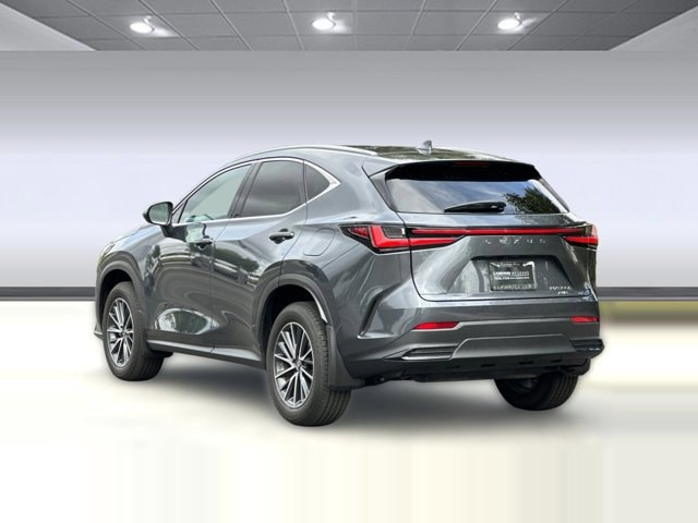 2025 LEXUS NX 350h Premium photo 2
