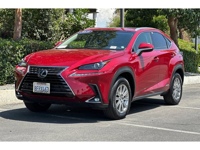 2019 Lexus NX 300h Luxury photo 2