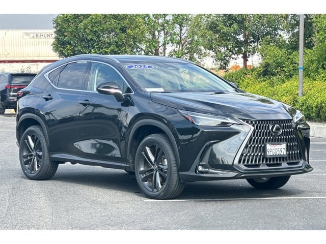 2025 LEXUS NX 450h+ Luxury photo 5