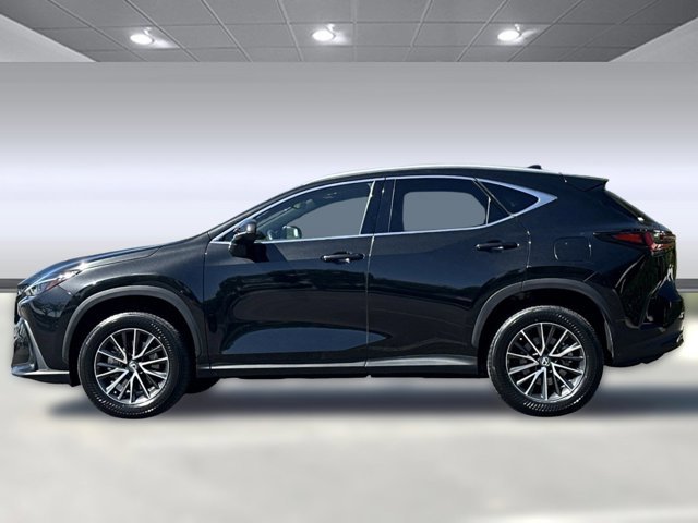 2023 Lexus NX 250 Premium photo 2