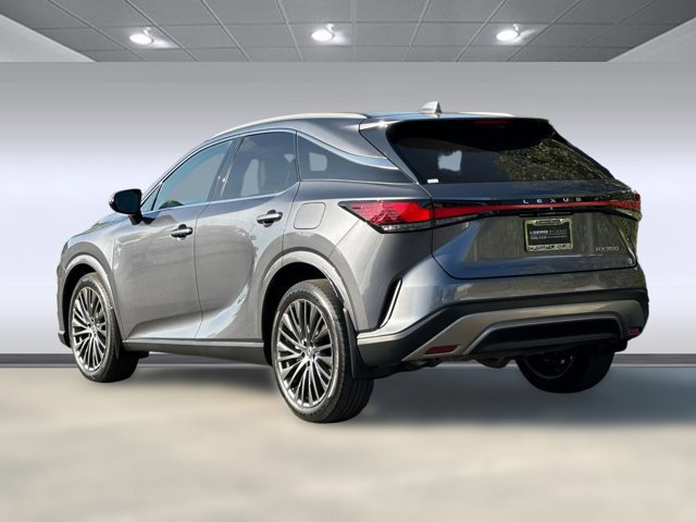 2023 Lexus RX 350 Luxury photo 3