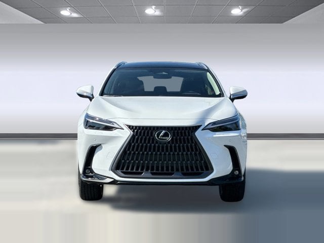 2026 Lexus NX 450h+ Luxury - Photo 6