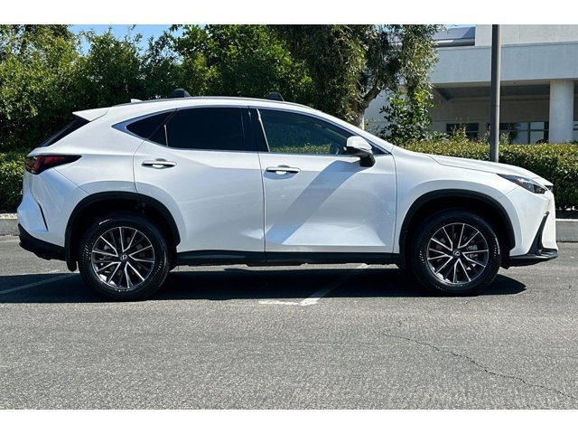 2024 LEXUS NX 350h photo 6