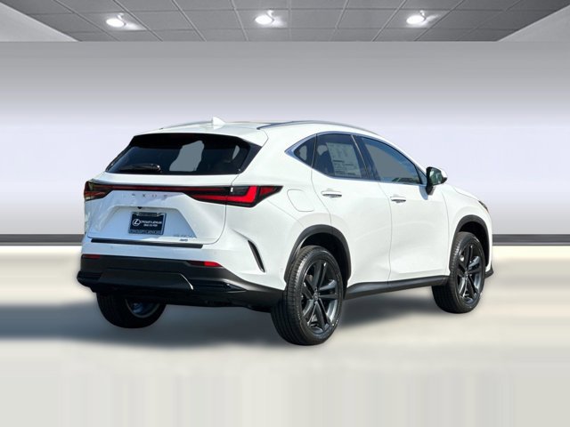 2026 Lexus NX 450h+ Luxury - Photo 9