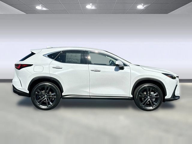 2026 Lexus NX 450h+ Luxury - Photo 8