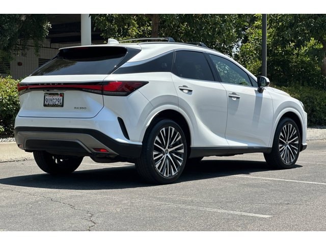 2025 Lexus RX 350 - Photo 8