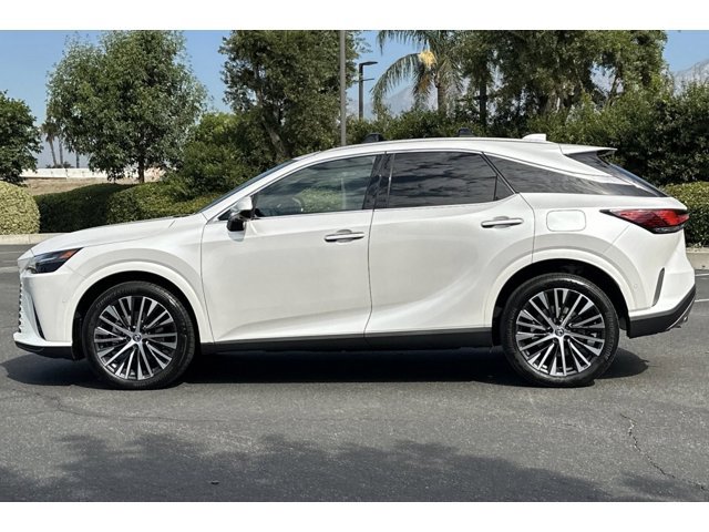 2025 Lexus RX 350h photo 2