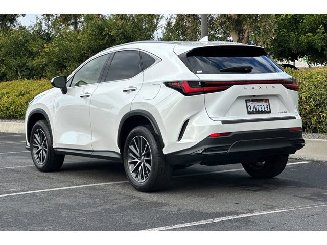 2024 Lexus NX 250 photo 3