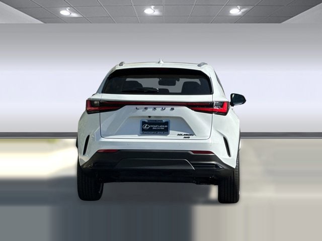 2026 Lexus NX 450h+ Luxury - Photo 9