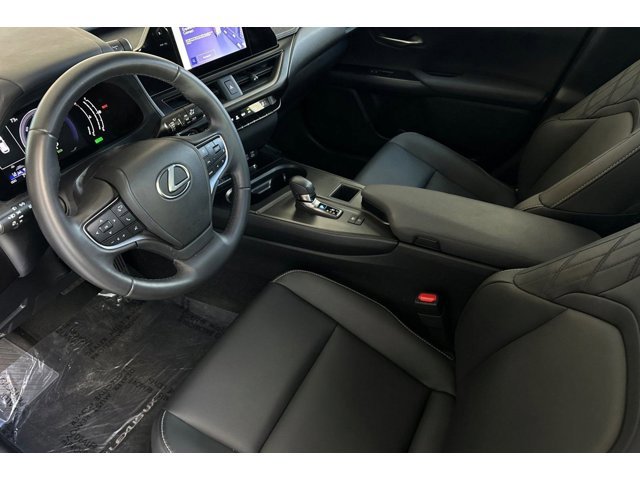 2025 Lexus UX photo 4