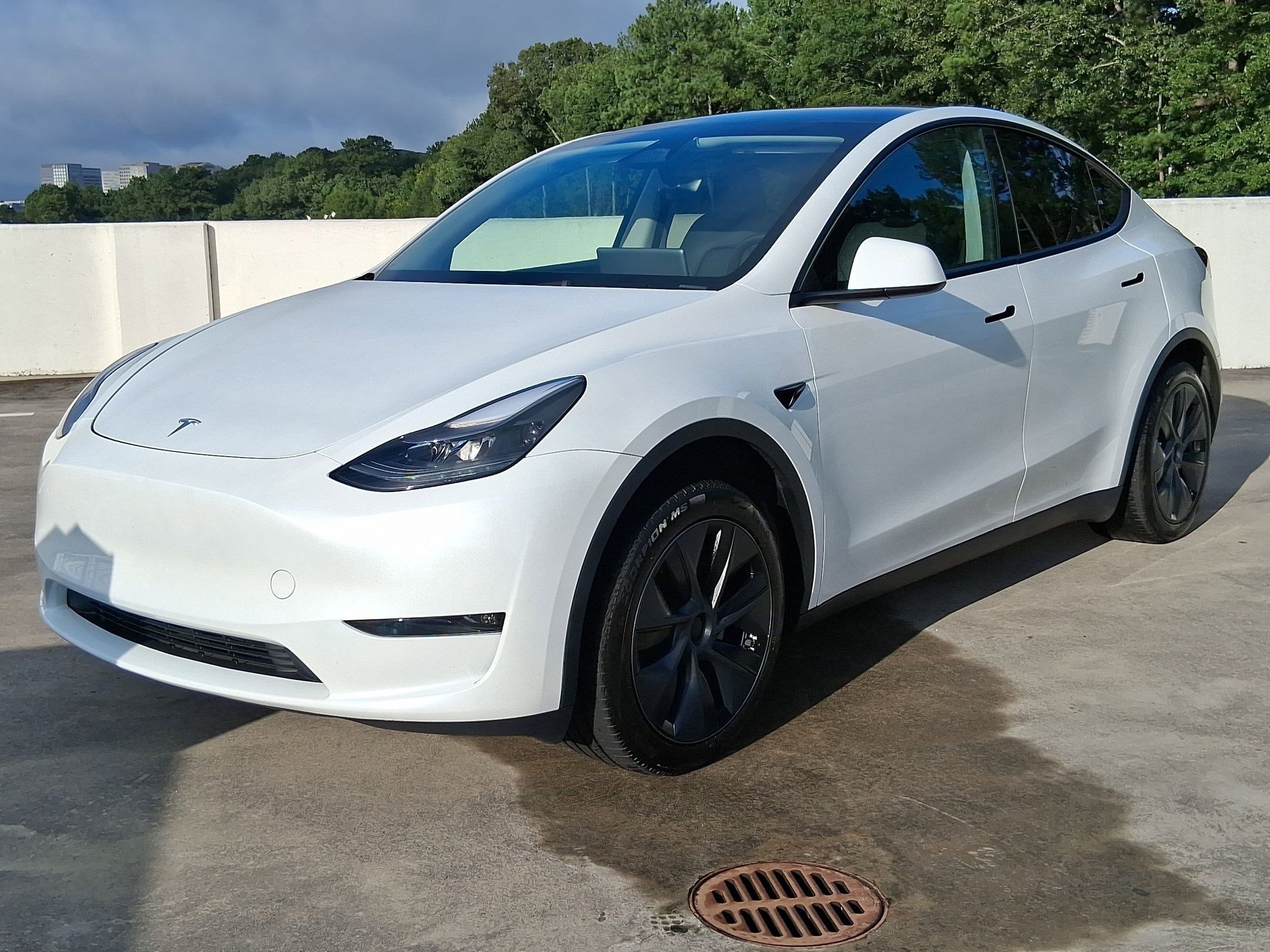 Used 2024 Tesla Model Y Long Range with VIN 7SAYGDEE8RA290304 for sale in Northfield, Minnesota