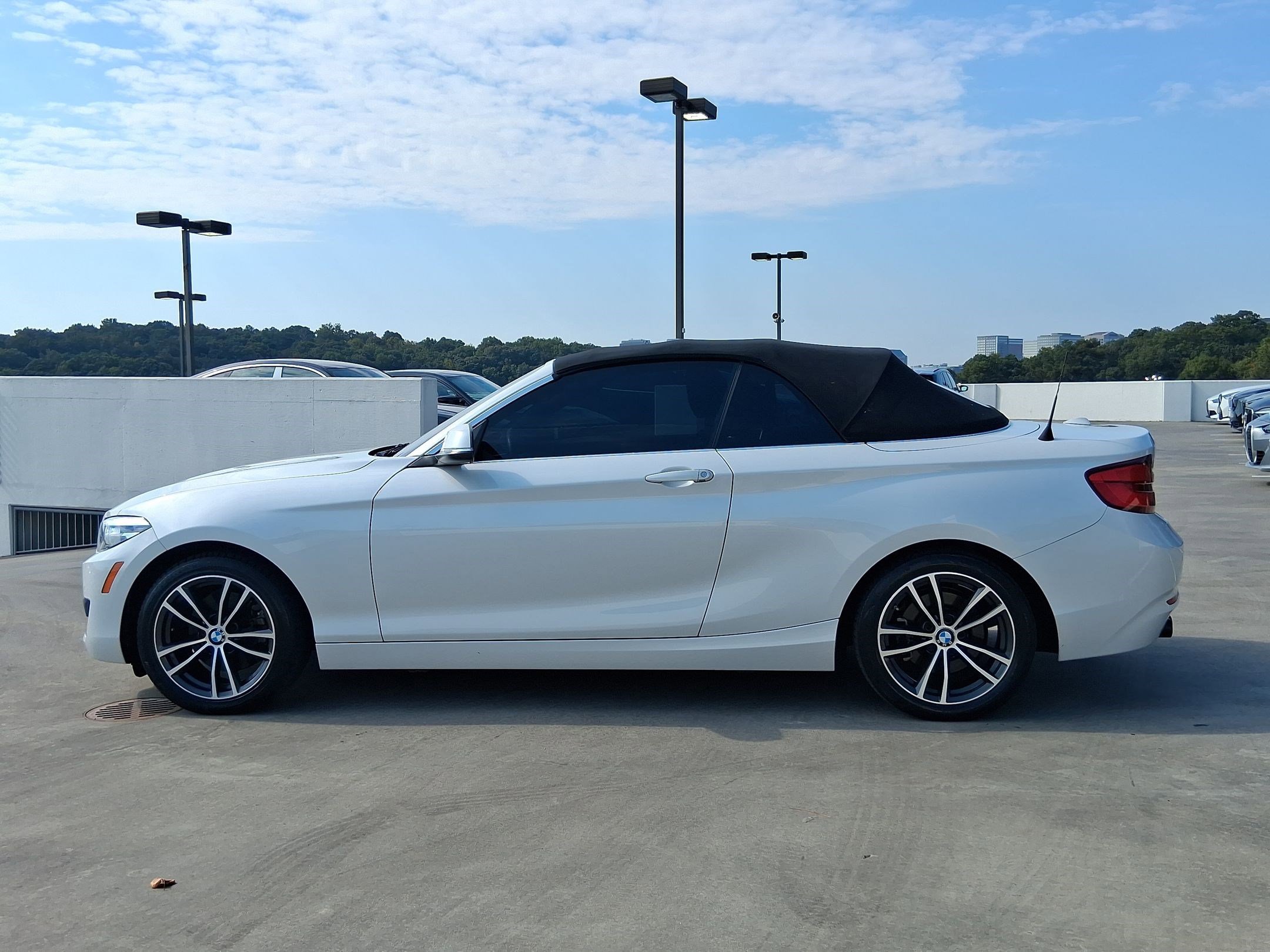 2019 Bmw 230i Convertible photo 2