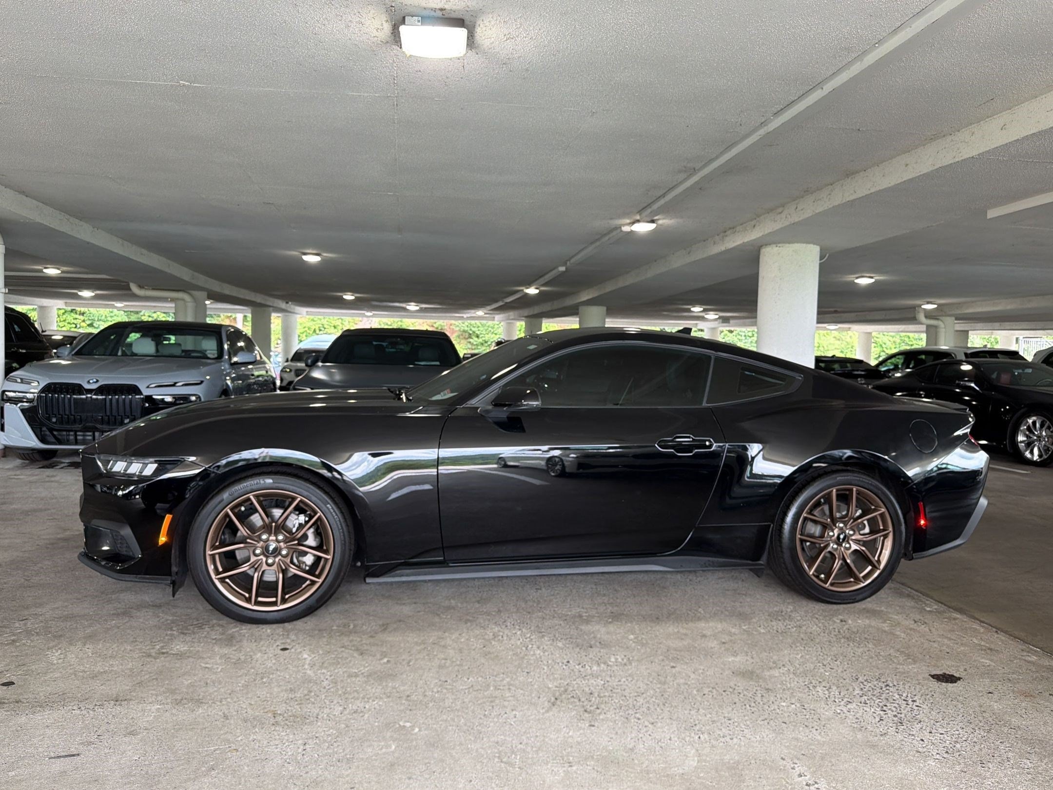 Mustang Coupe