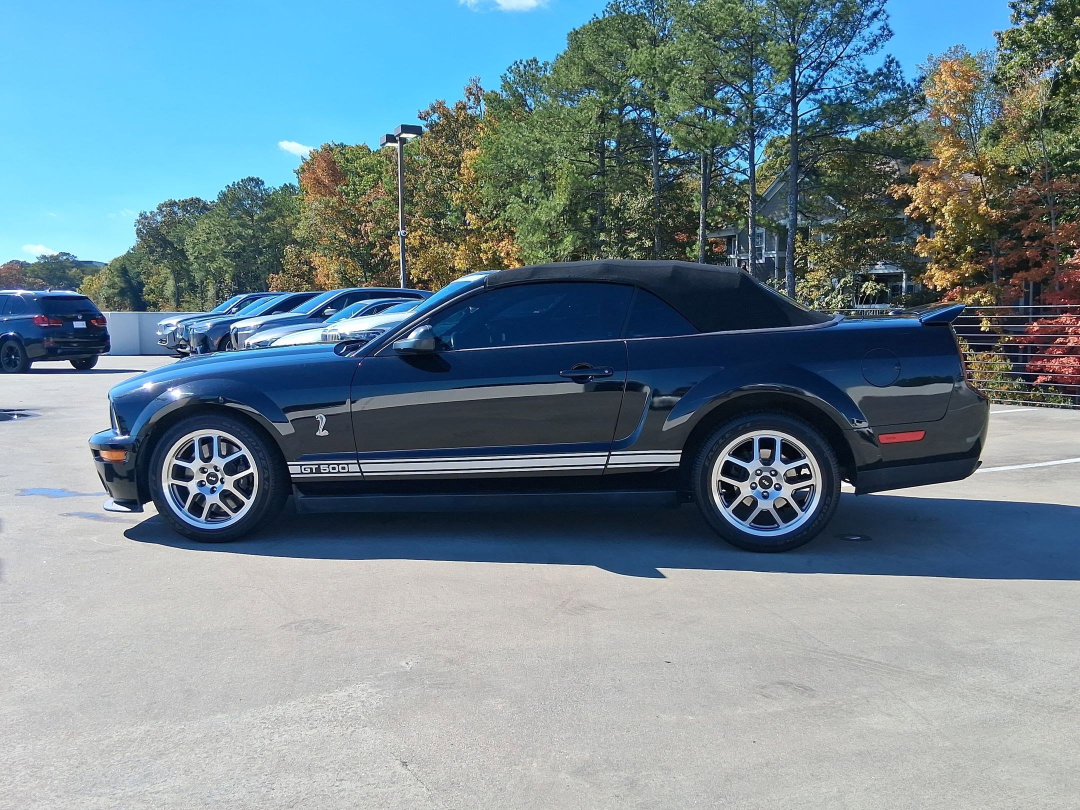 2007 Ford Mustang Shelby GT500 photo 2