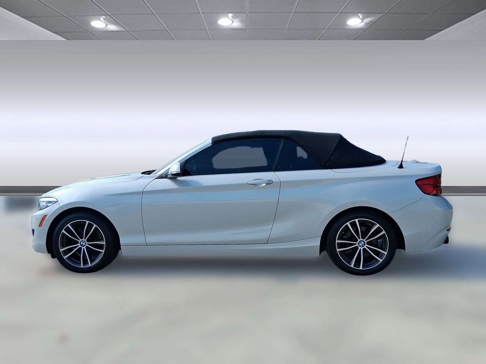 2019 Bmw 230i Convertible photo 2