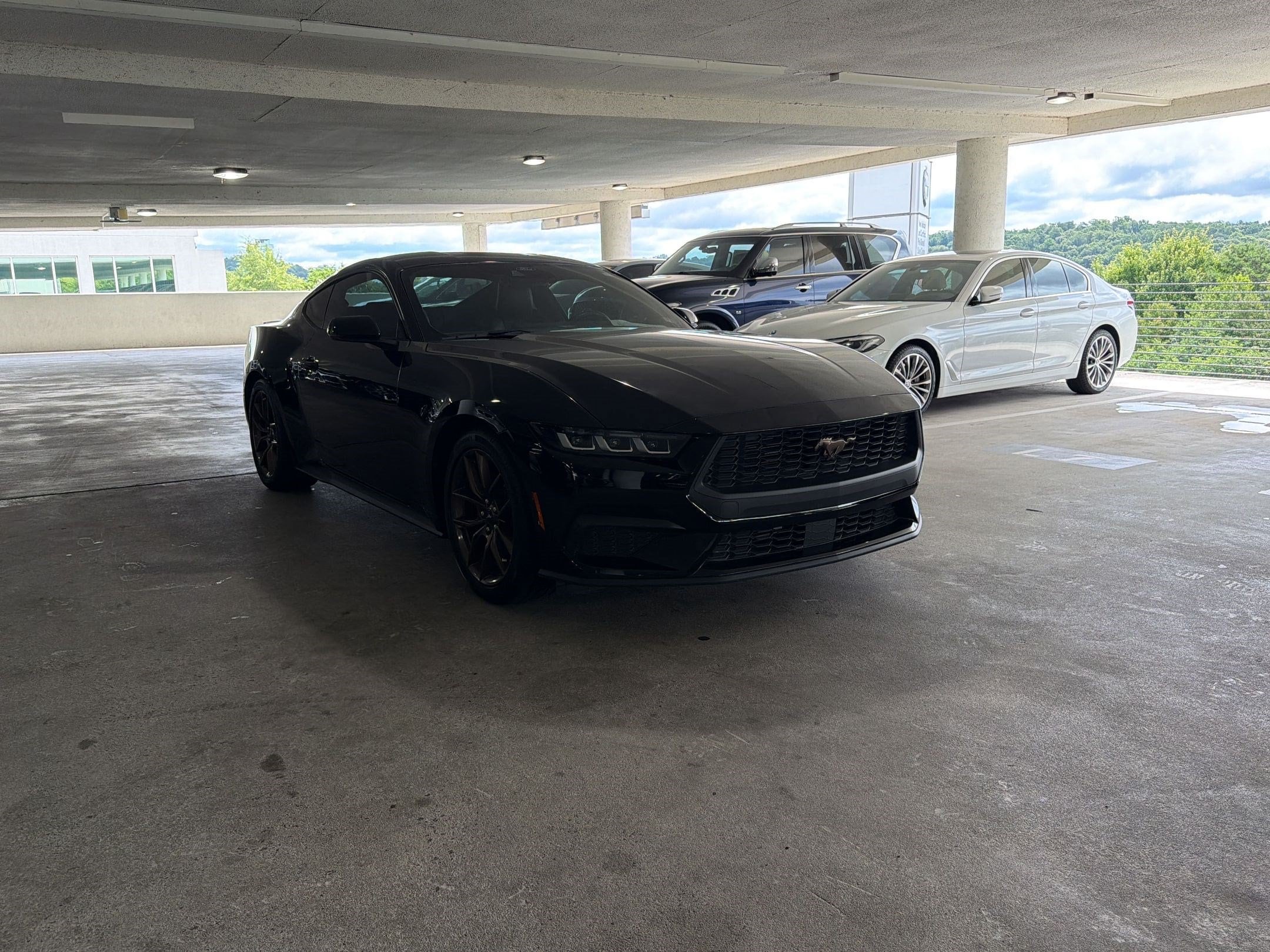 Mustang Coupe