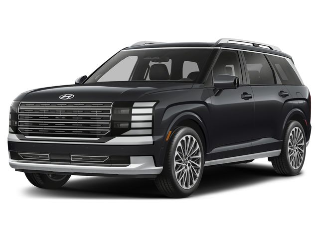 Hyundai Palisade Calligraphy