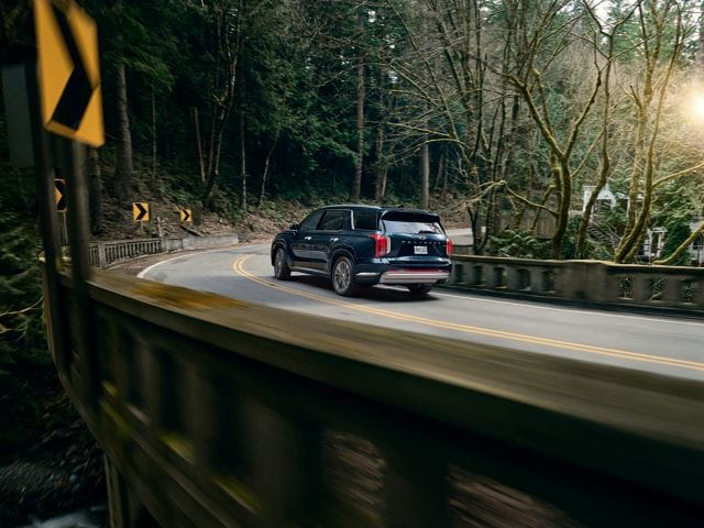 Hyundai Palisade driving down a forest road