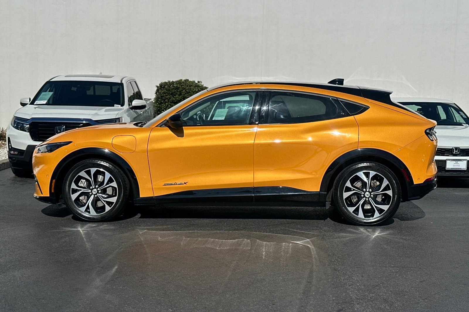 2022 Ford Mustang Mach-E Premium photo 2