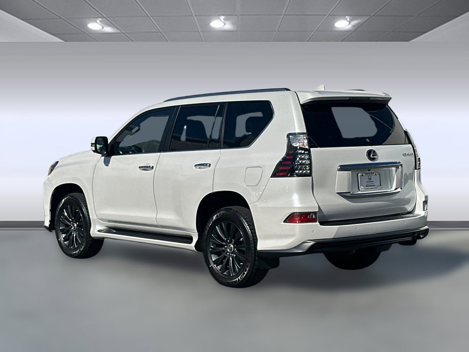 2023 Lexus GX 460 Luxury photo 3