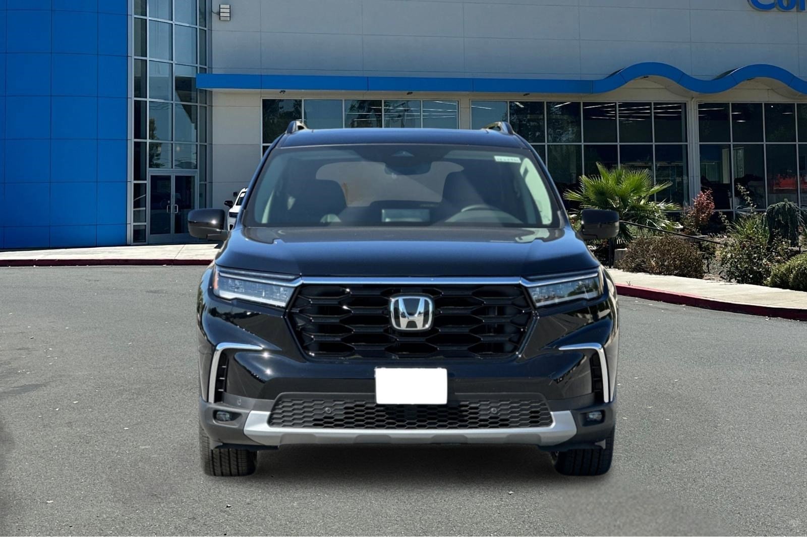 2025 Honda Pilot Touring photo 4