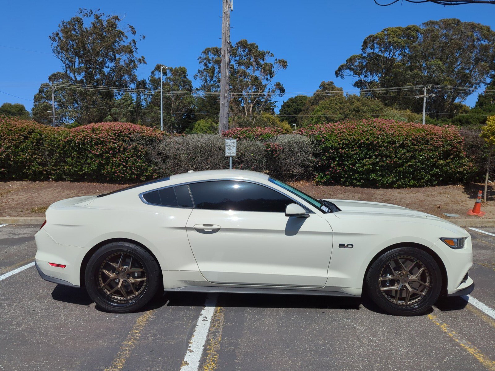2015 Ford Mustang GT 50th Anniversary Edition photo 2