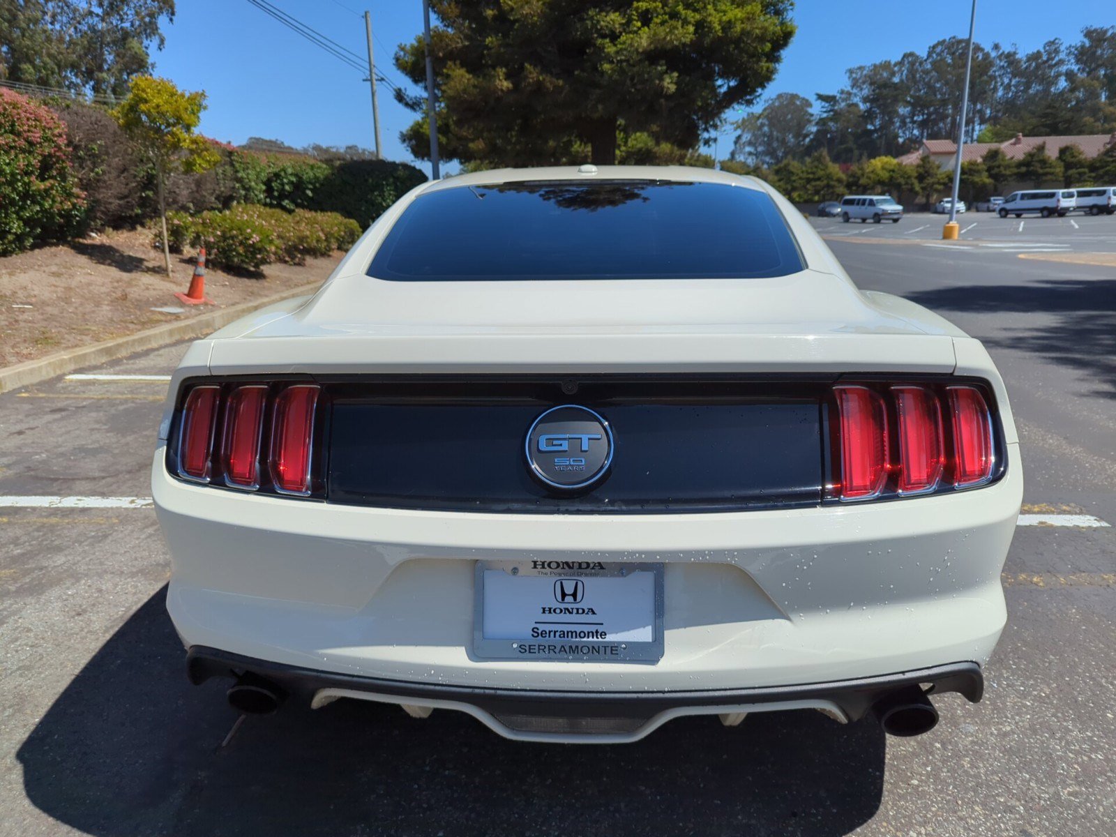 2015 Ford Mustang GT 50th Anniversary Edition photo 3