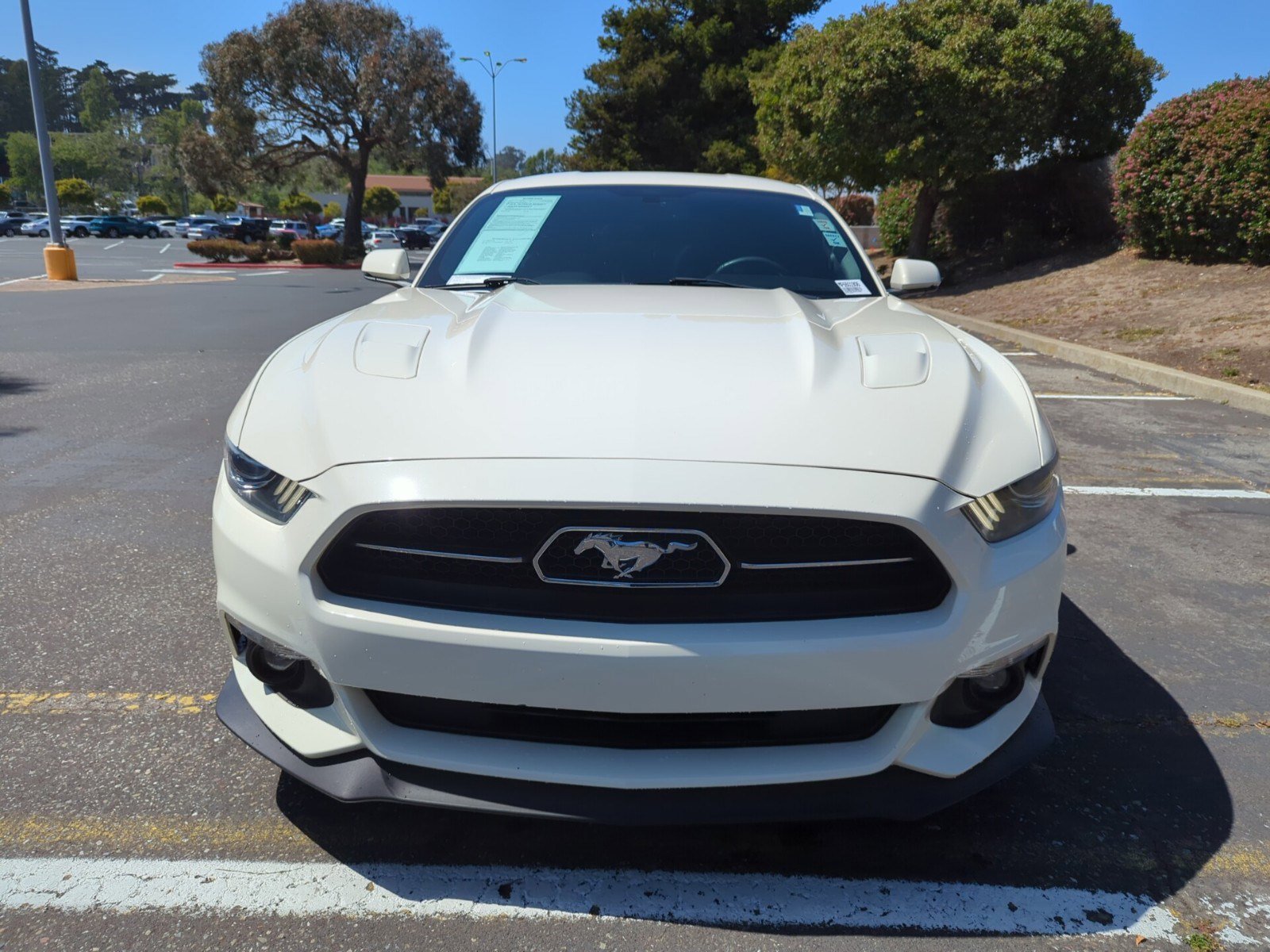 2015 Ford Mustang GT 50th Anniversary Edition photo 4