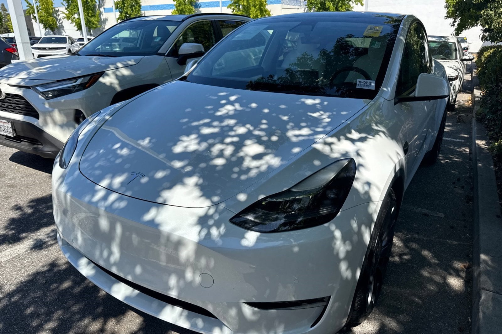 Used 2022 Tesla Model Y Performance with VIN 7SAYGDEF3NF409818 for sale in Northfield, Minnesota