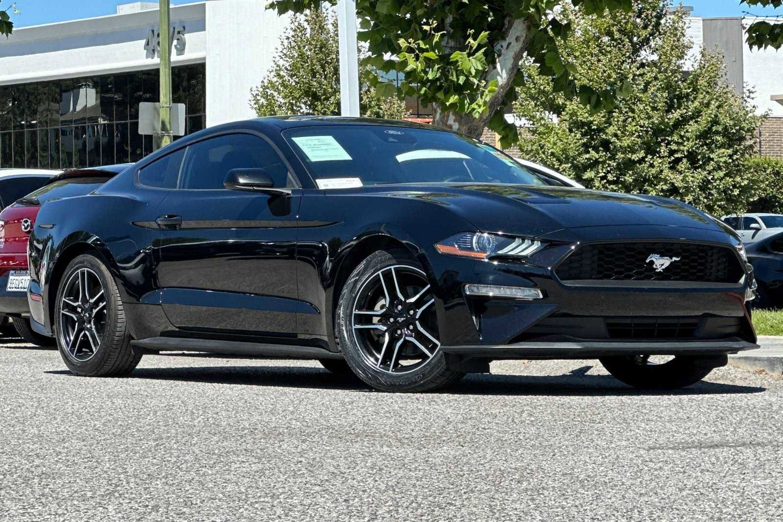 Used 2022 Ford Mustang EcoBoost with VIN 1FA6P8THXN5131748 for sale in San Jose, CA