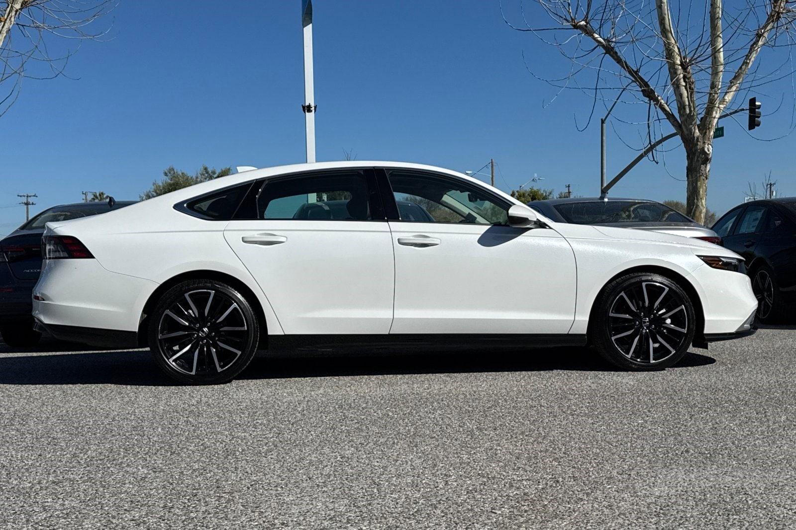 2023 Honda Accord Hybrid Touring w/BSI photo 6