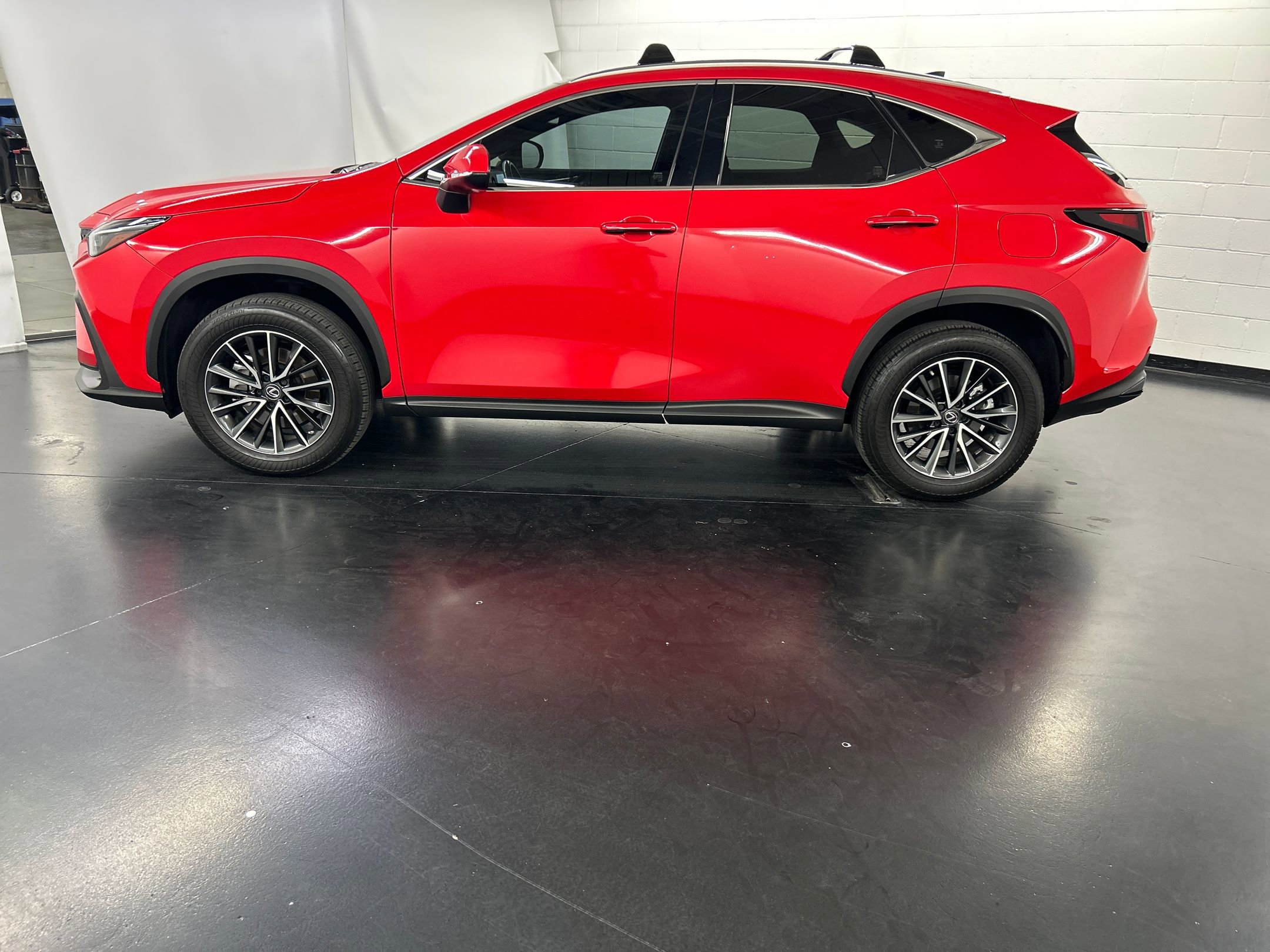 2022 Lexus NX 350h photo 2