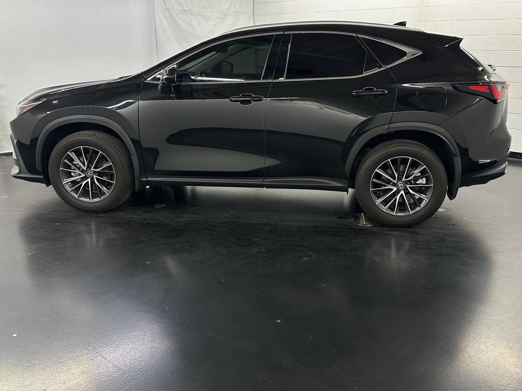 2024 Lexus NX 350 Premium photo 2