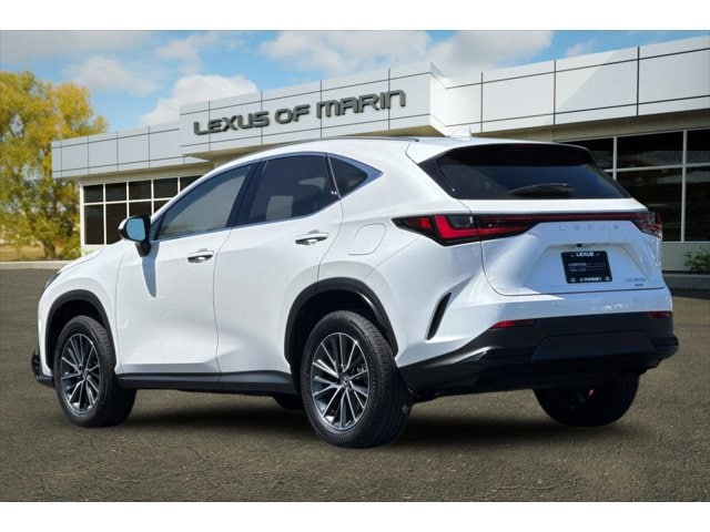 2025 LEXUS NX 350h Premium photo 2