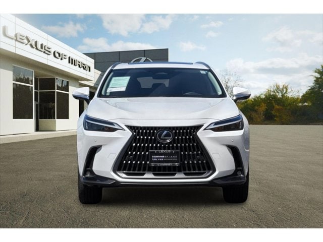2025 LEXUS NX 350h Premium photo 4