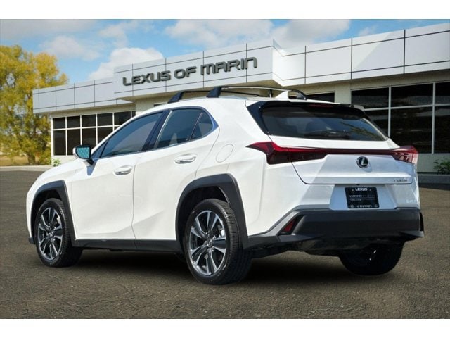 UX 300h SUV