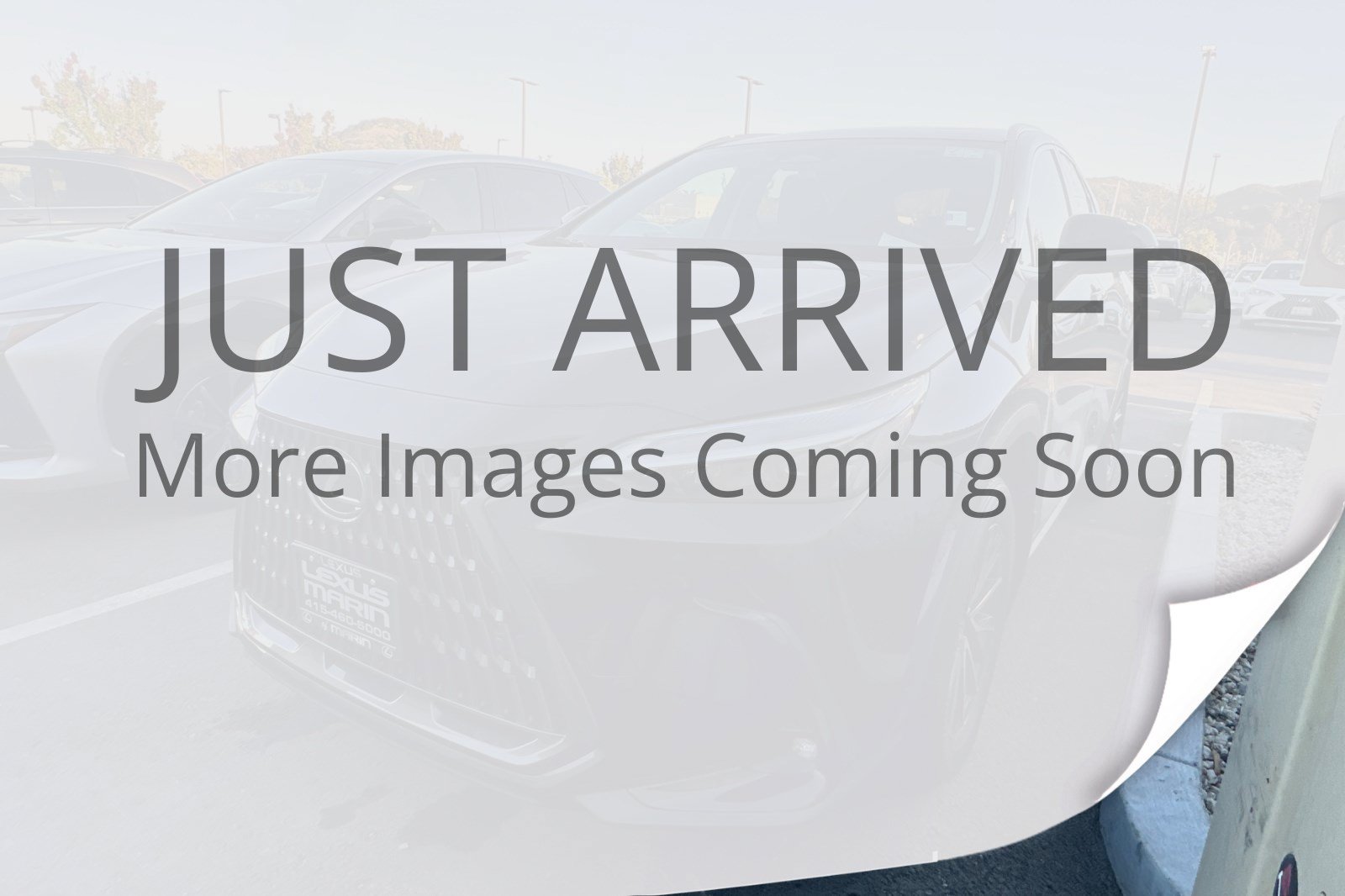 Certified 2024 Lexus NX 250 Premium SUV