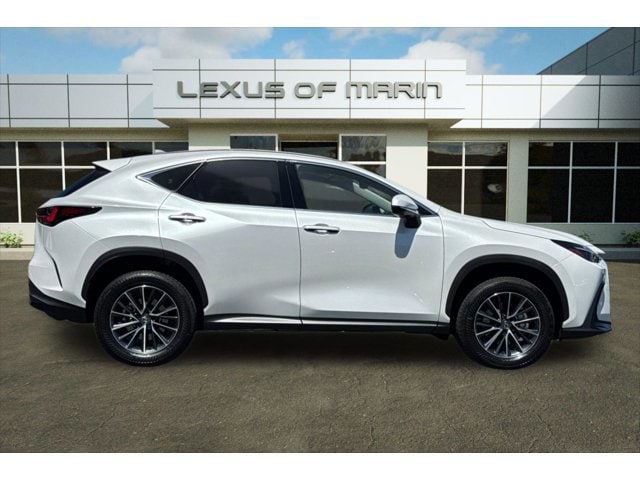 2025 LEXUS NX 350h Premium photo 3