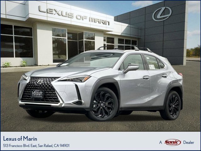 2025 Lexus UX Hybrid 300h's photo