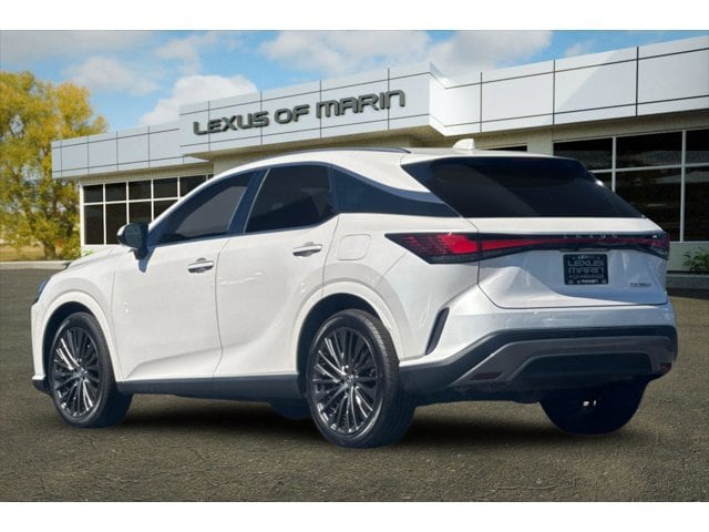 2023 LEXUS RX 350 Luxury photo 2