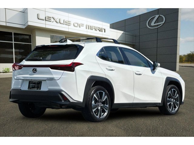 UX 300h SUV